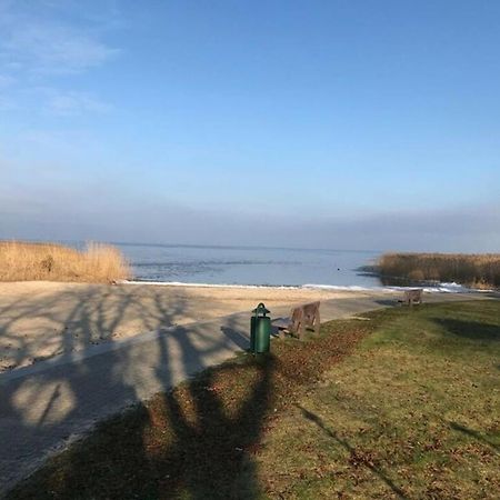 Ferien-Bungalow Im Seebad Ueckermuendeot Bellin Esterno foto